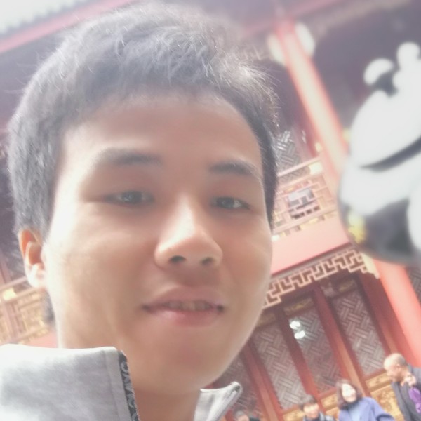 小海豚保卫细心的照片