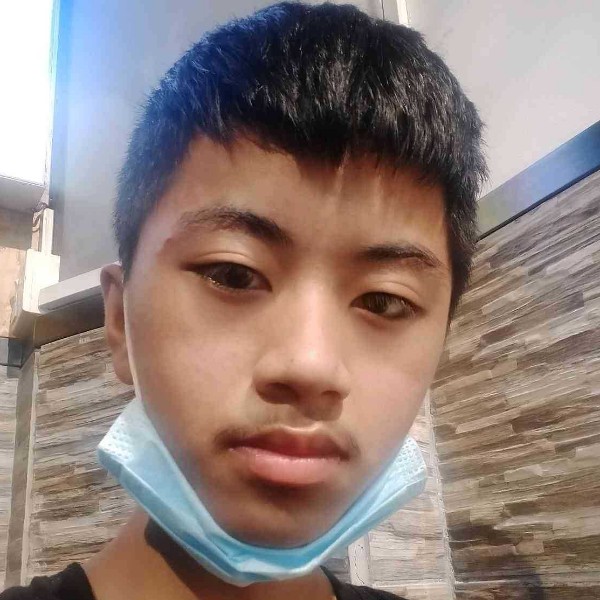 俊逸停止小蚂蚁的照片