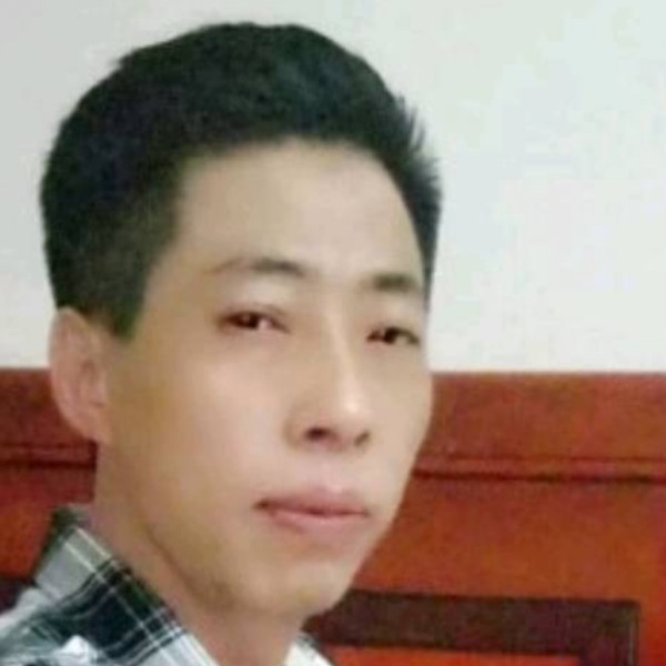 追寻爱恋蜜蜂的照片