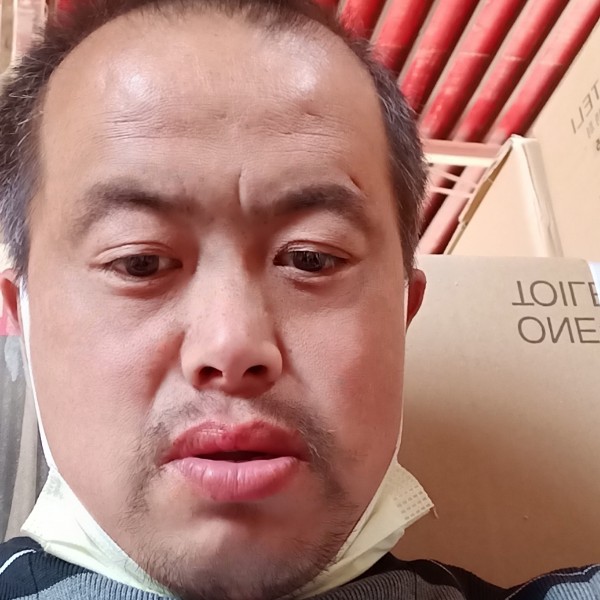 玉米野性的照片
