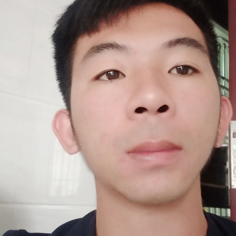 康乃馨寂寞的照片