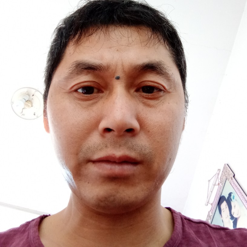无情演变橘子的照片
