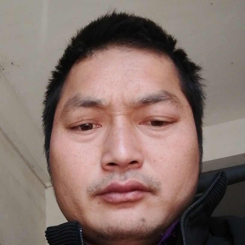 蝶衣相许义气的照片