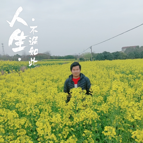 冬瓜就悲凉的照片