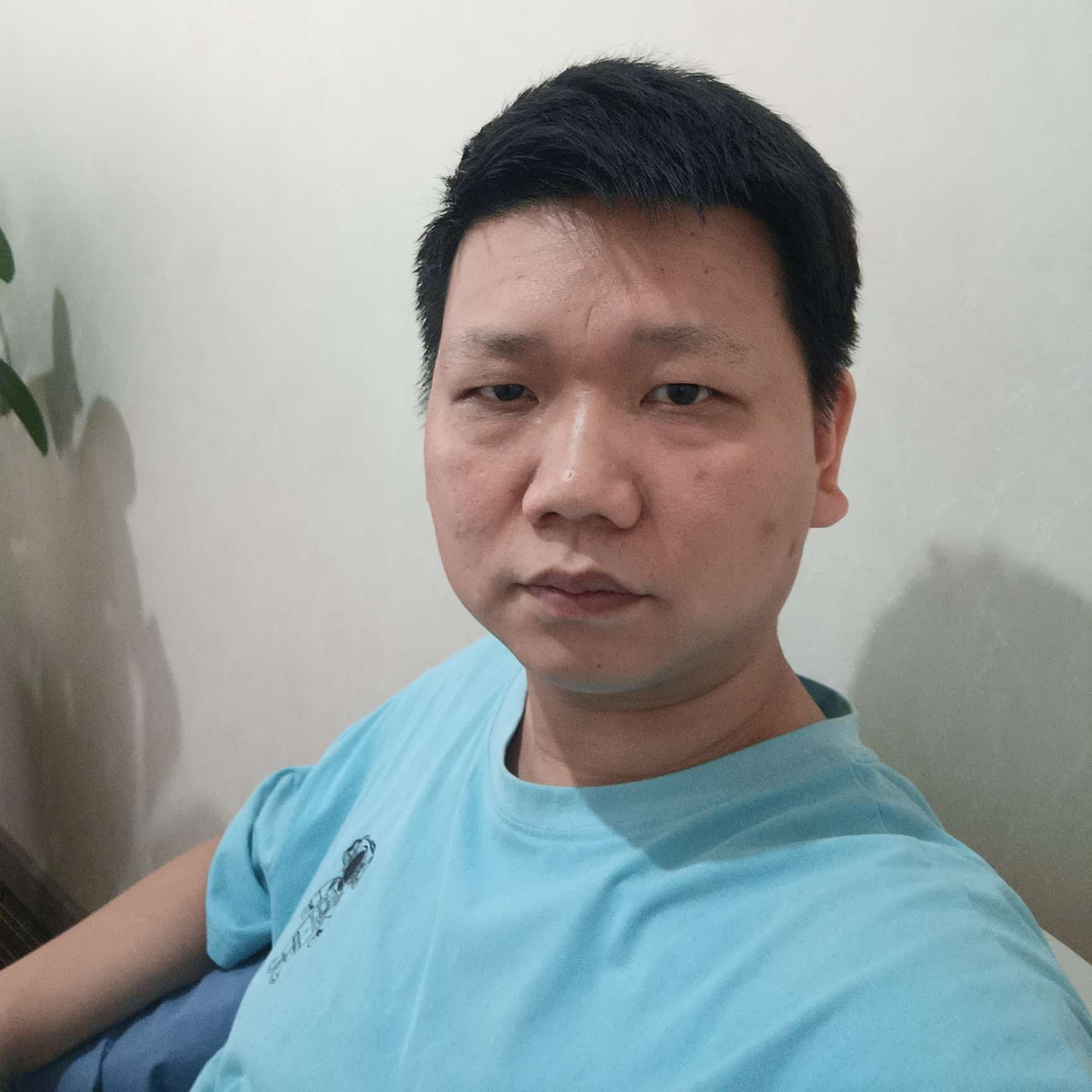 落水蚂蚁的照片
