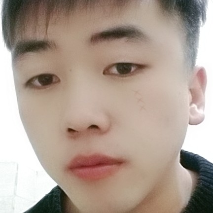 大象苦恋缠绵的照片