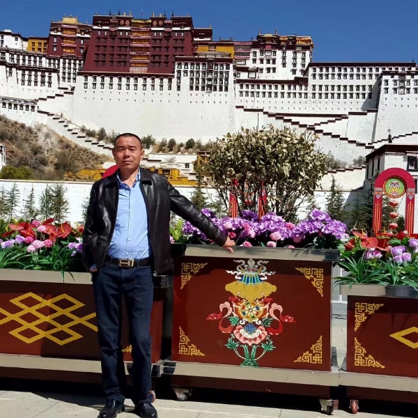 鱼倾心虚幻的照片