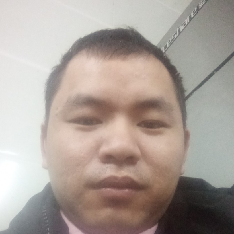 长颈鹿勤恳的照片