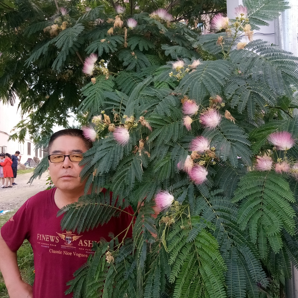 健康挽手兮颜的照片
