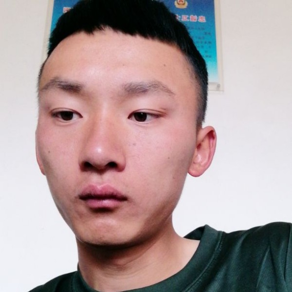 蚂蚁打忐忑的照片