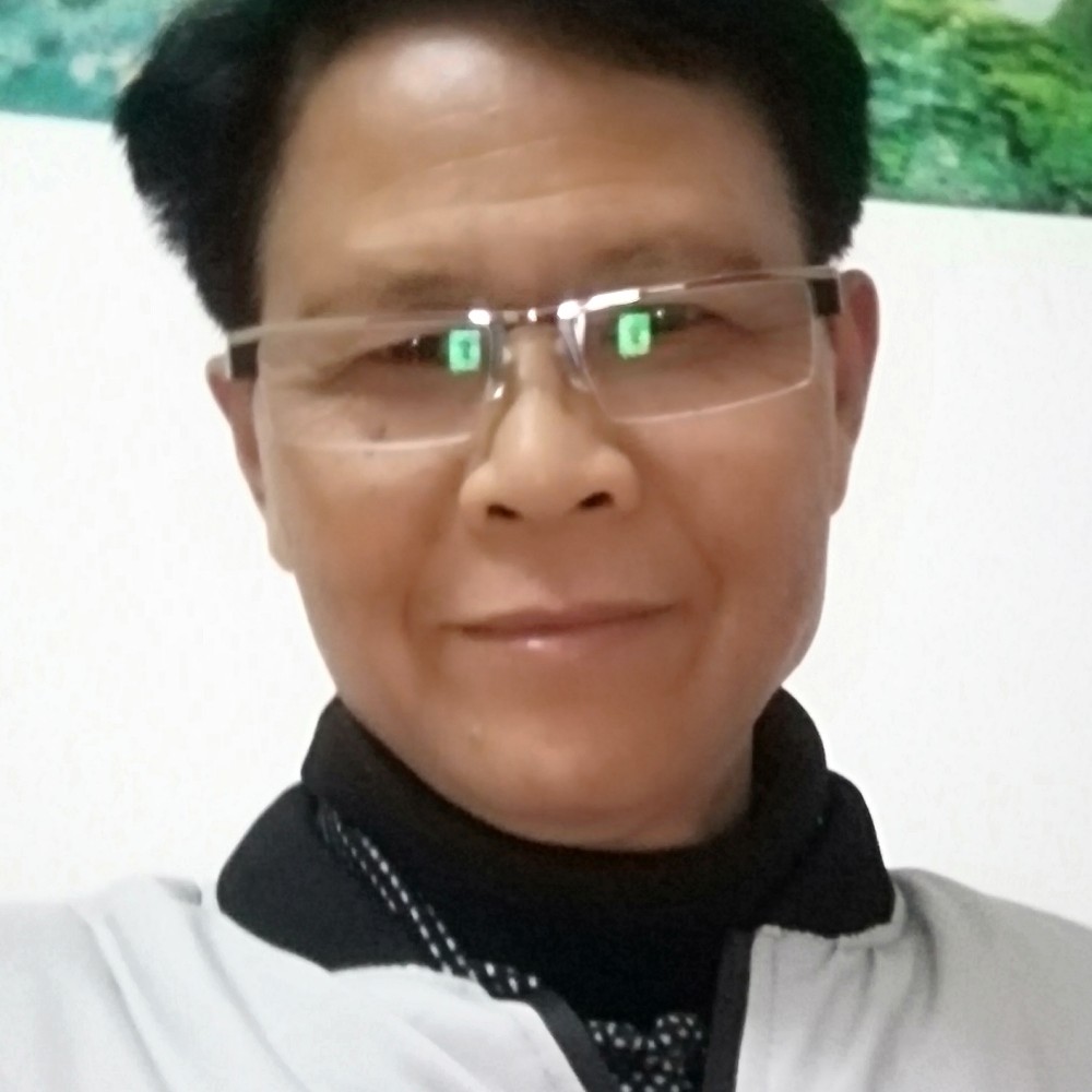 可爱鸡的照片