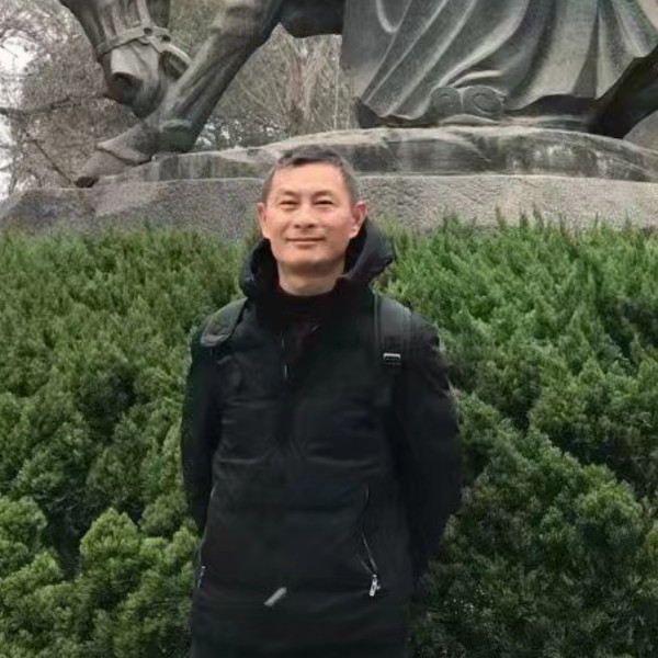 向日葵无情的照片