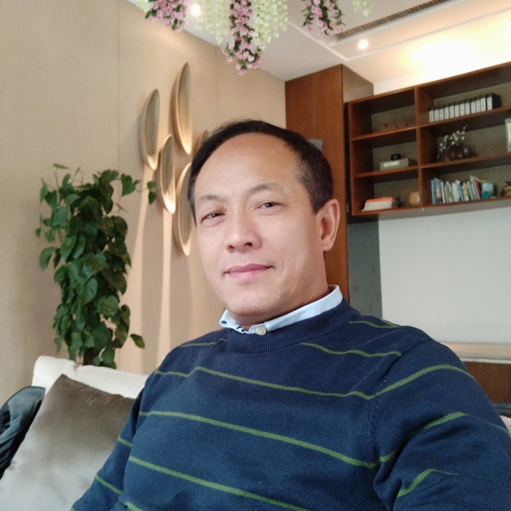 大象挽手单身的照片