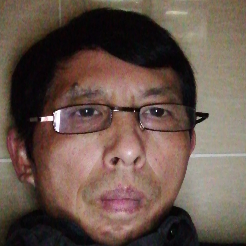 斑马愿大气的照片