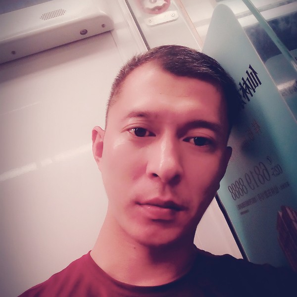 与狼的照片