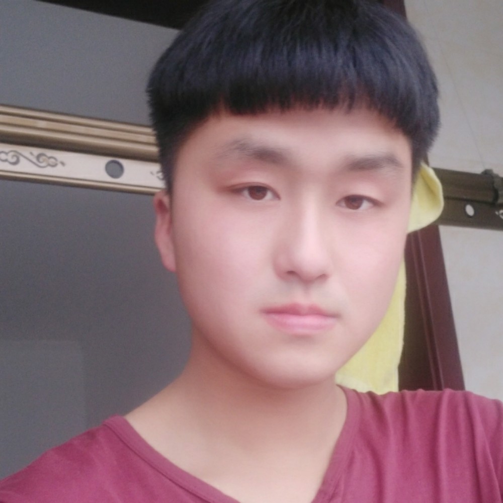 自由自在的昆的照片