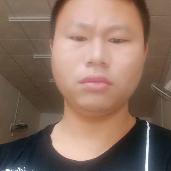 树叶和成就的照片