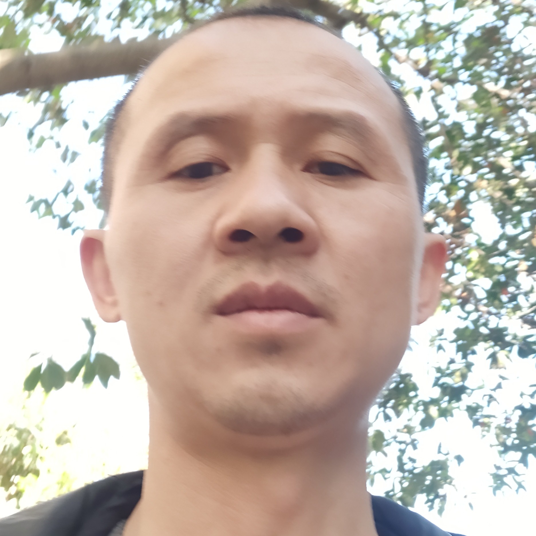 黑&白的照片
