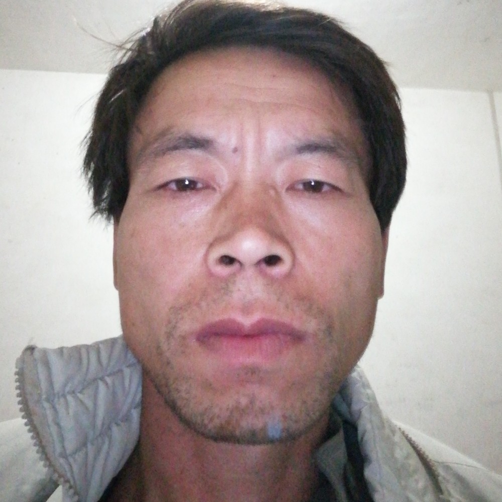 星际之旅的照片