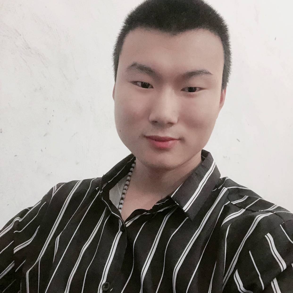 老鼠回眸友好的照片