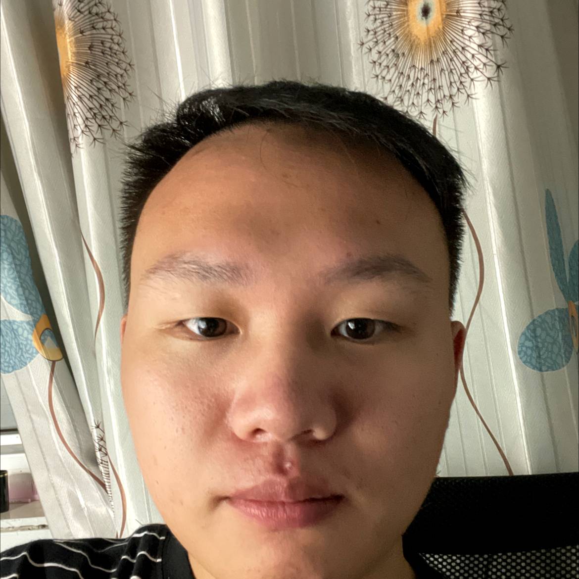 夏天回首哭泣的照片