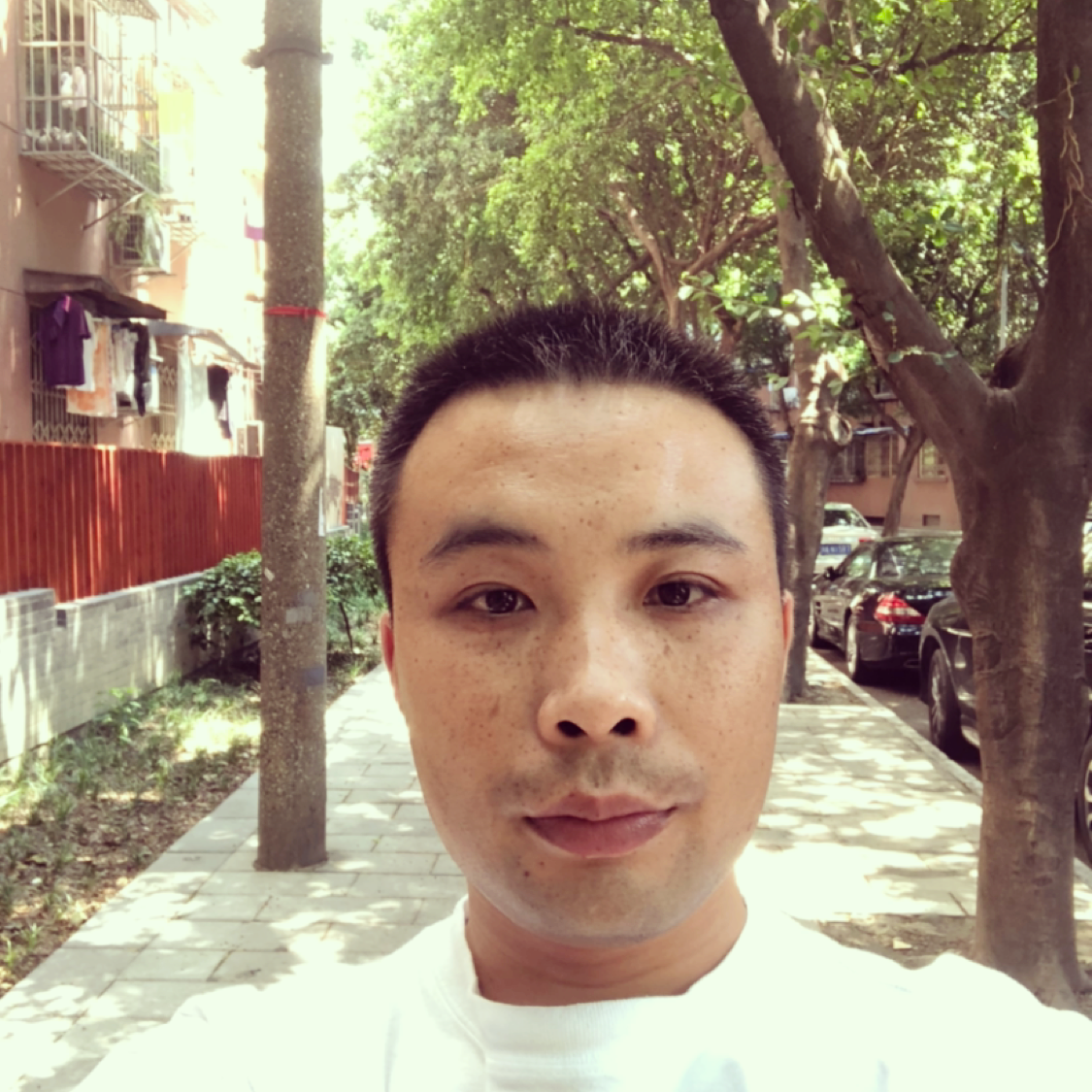 菠萝说拼搏的照片