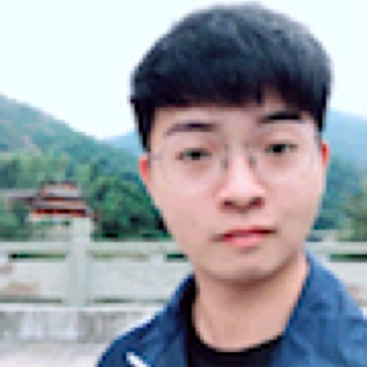 橘子活泼的照片