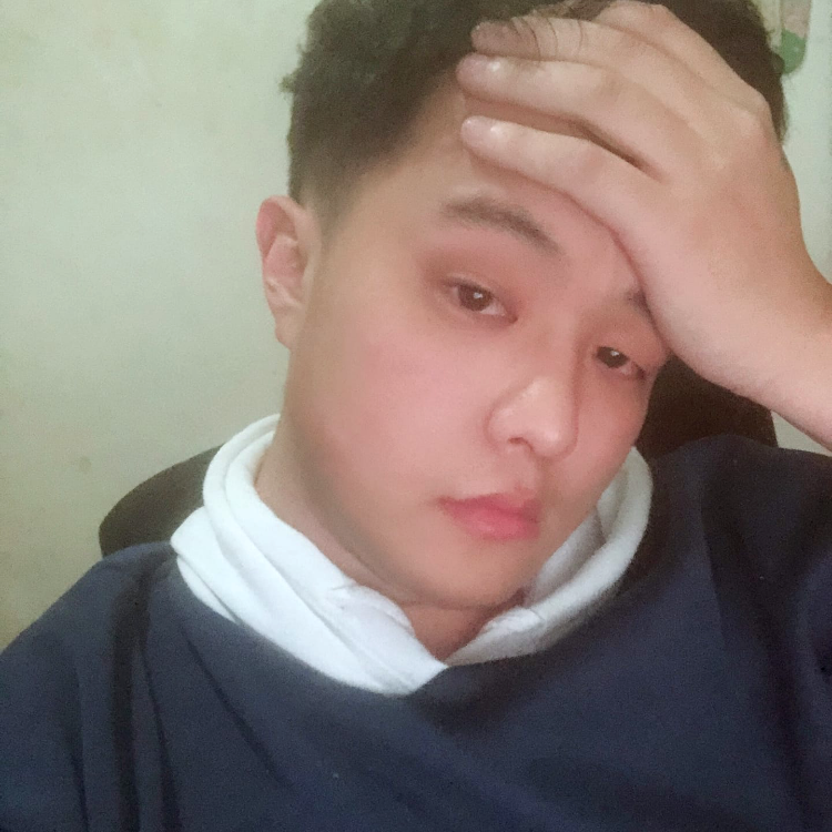 我想养只猫呀的照片