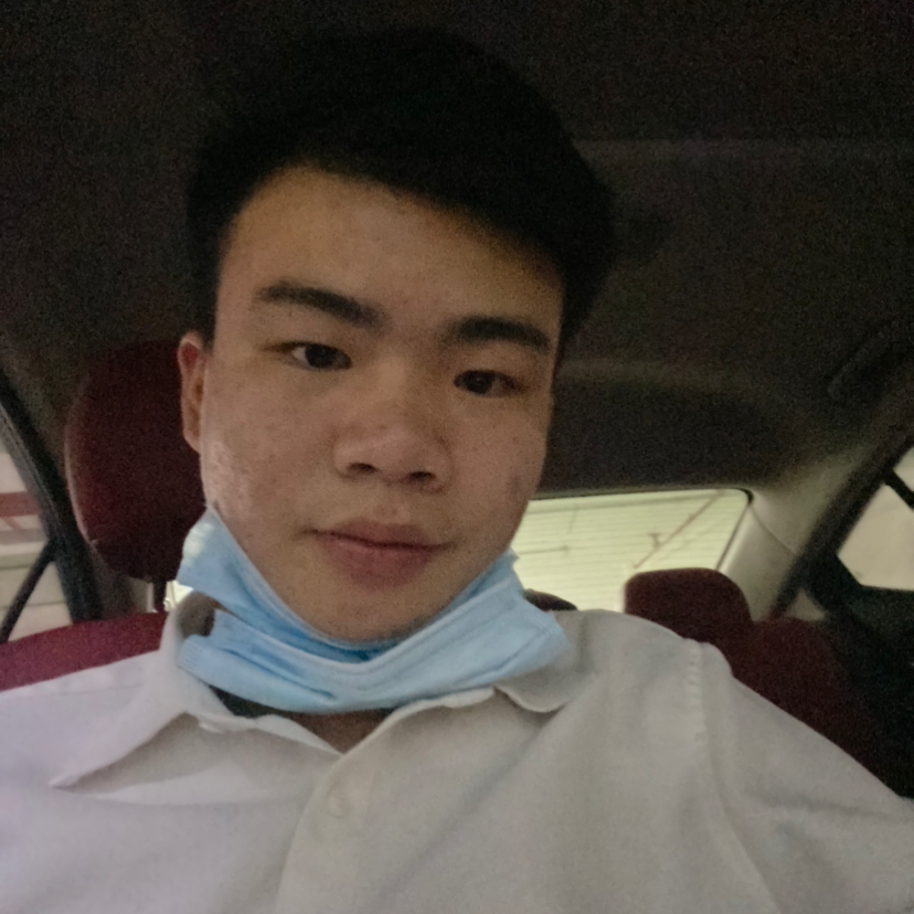 小马的照片