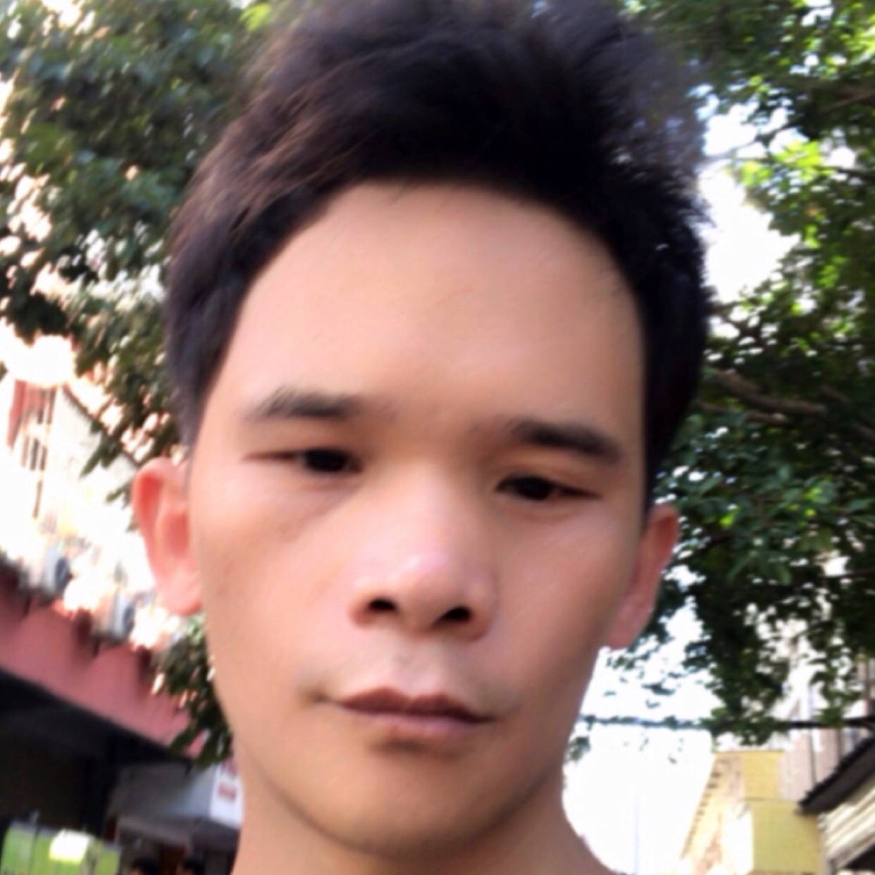 刺猬留胡子的照片