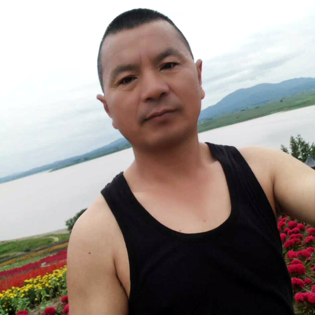 手机迎我们的的照片