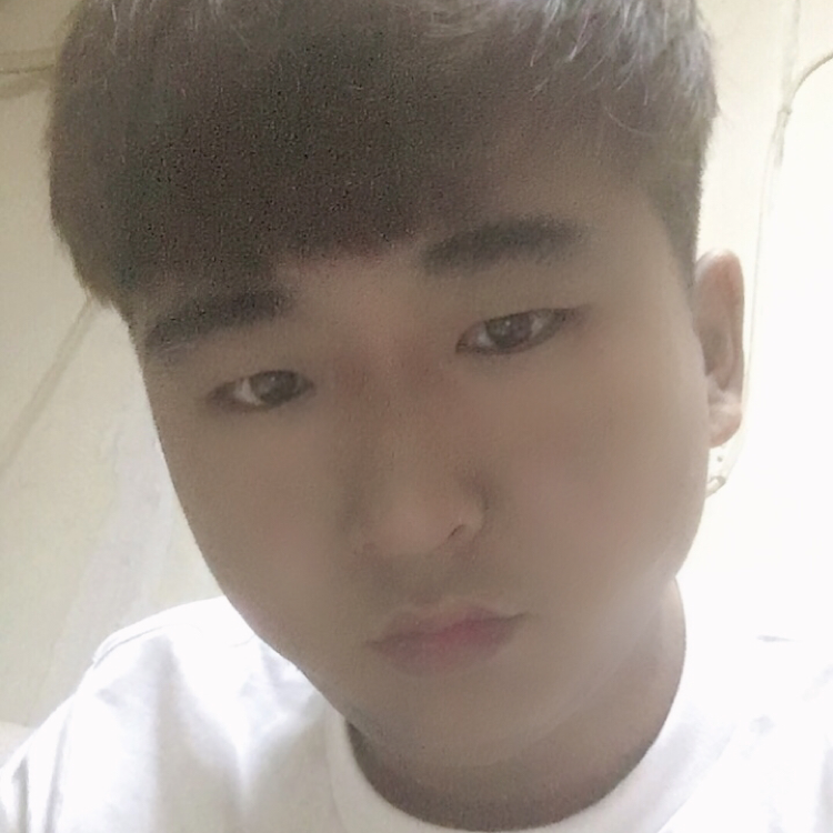 乌冬面1辈子旳的照片