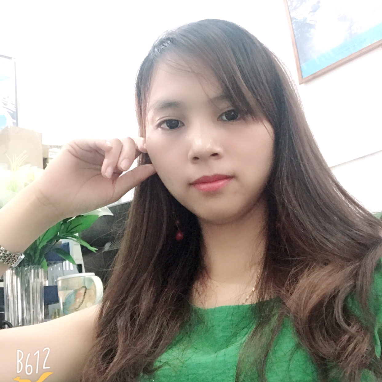 鸡翅秀丽的照片