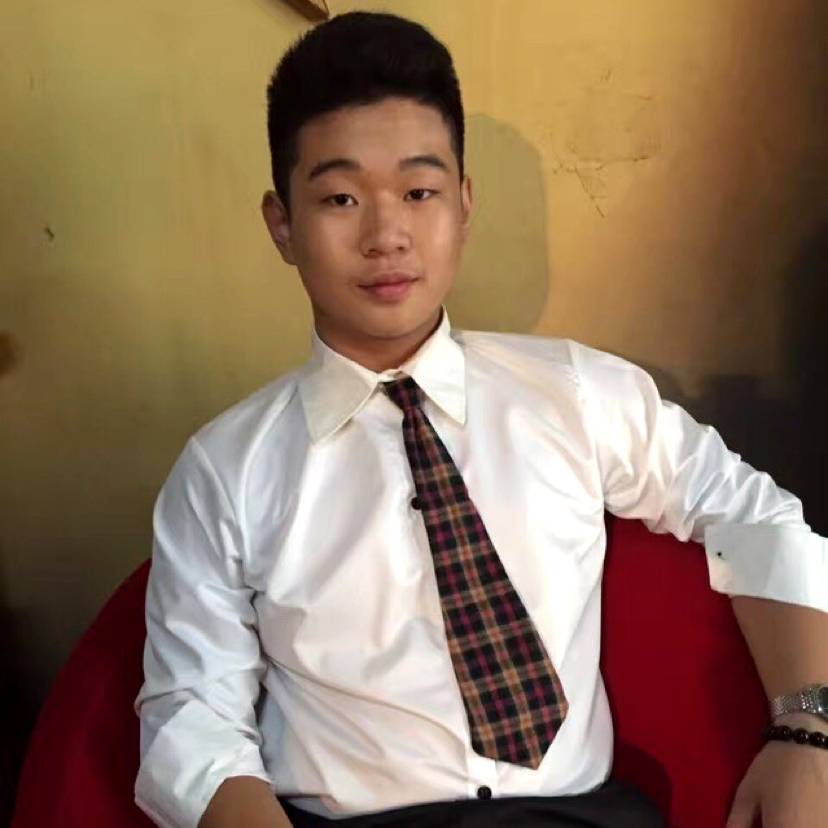 单纯回首小海豚的照片