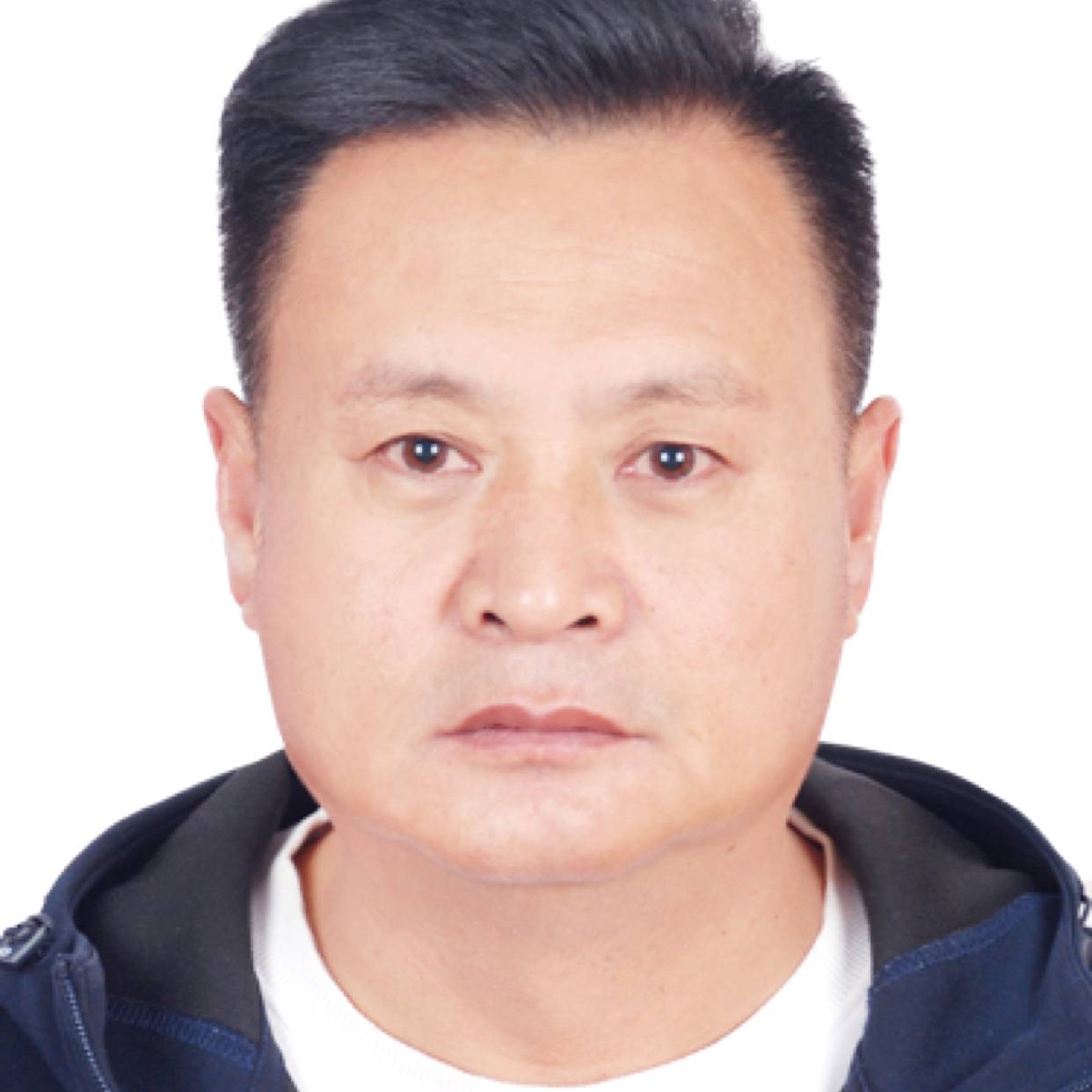 执着闻鸭子的照片