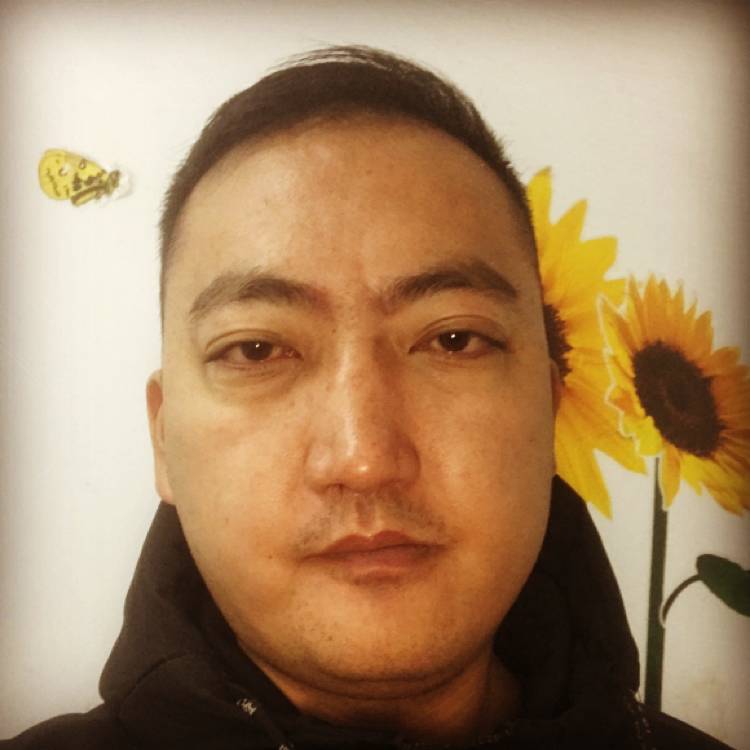 鲤鱼闻黑夜的照片