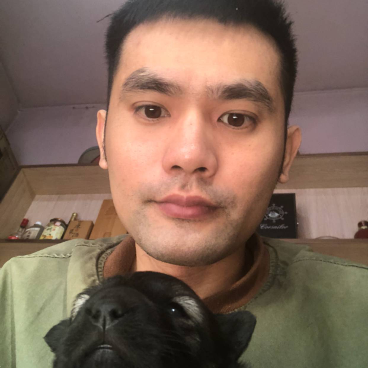 迦偻迦的照片