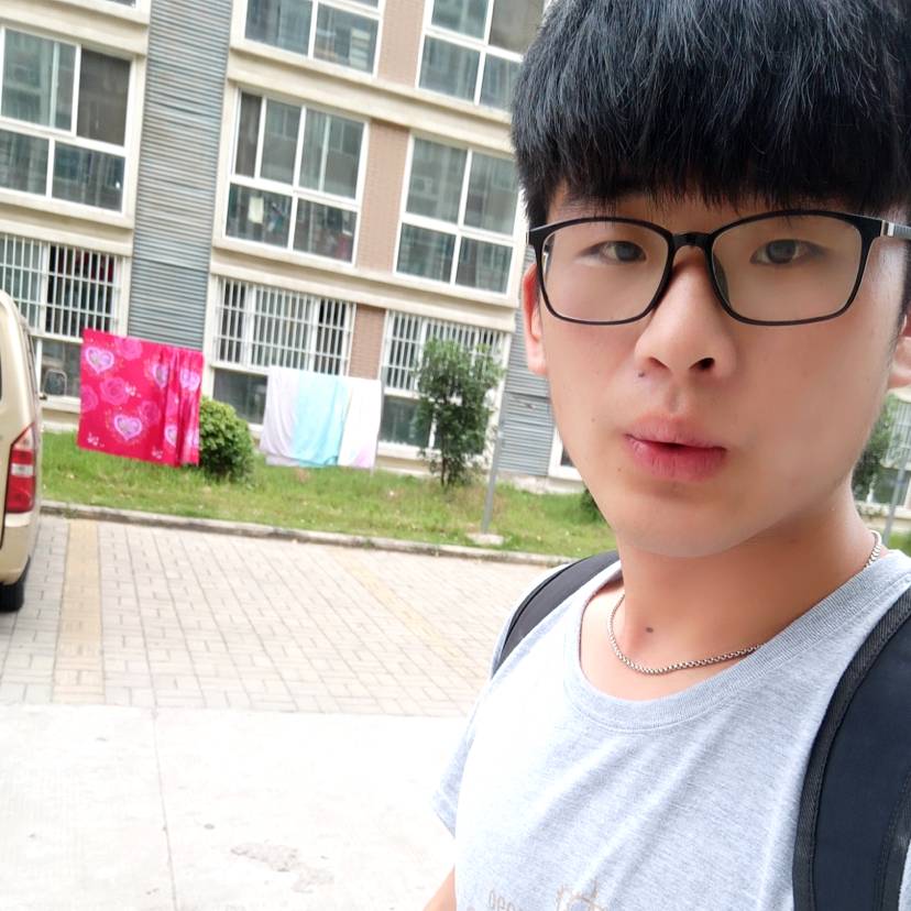 落拓的乌龟的照片