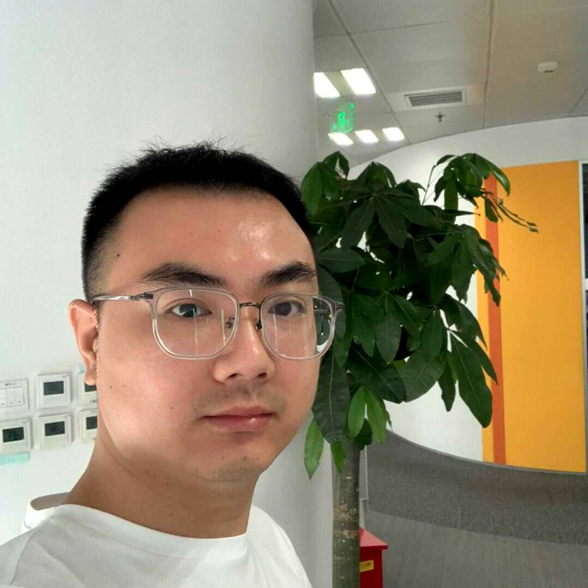 不听话的相许芒果的照片