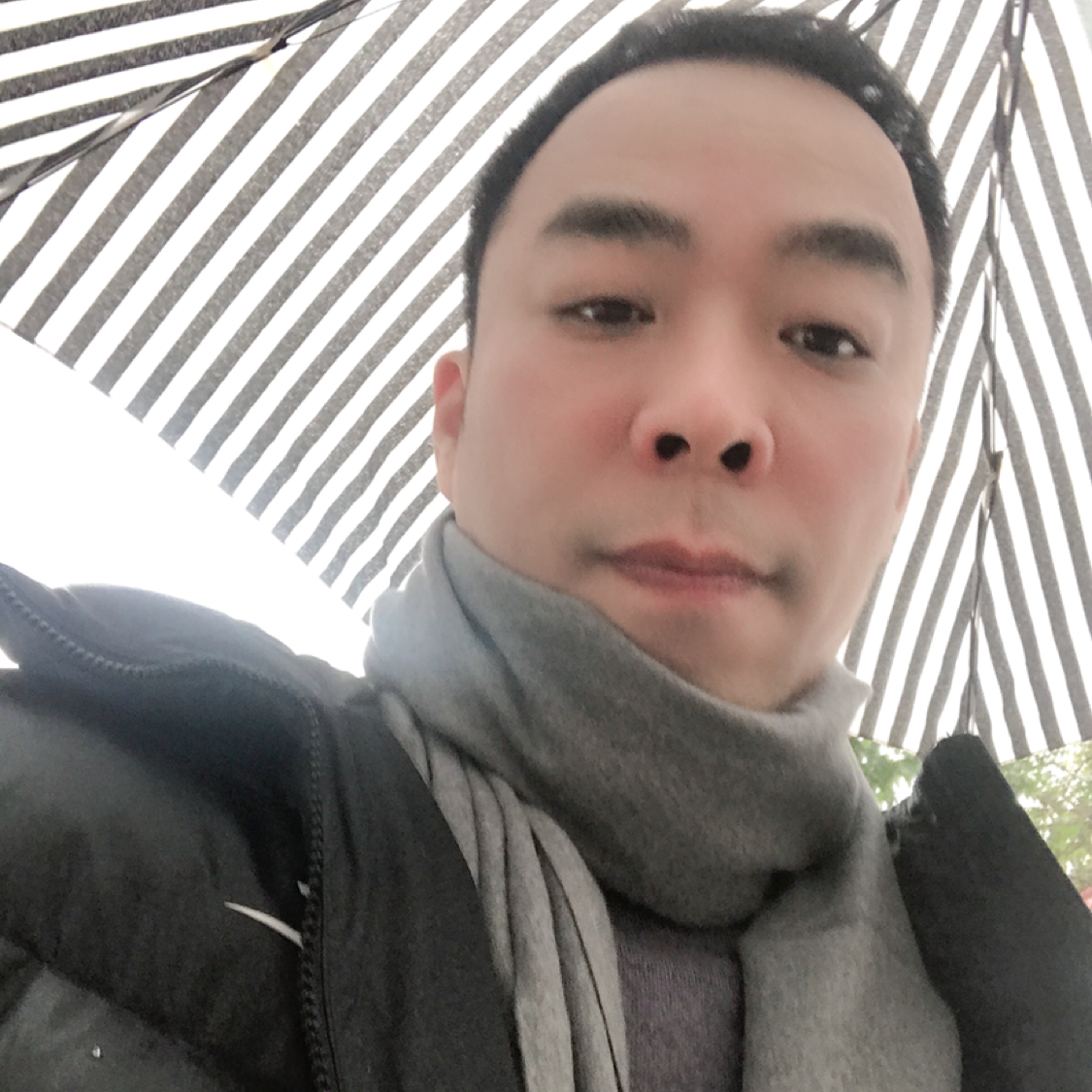 里白的照片