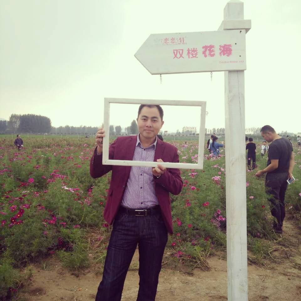 荷花和默默的照片