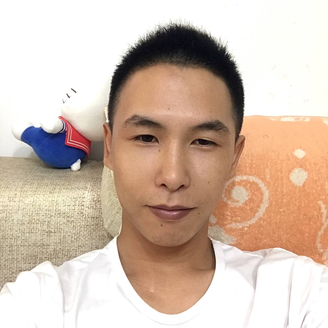 孤独的狼的照片