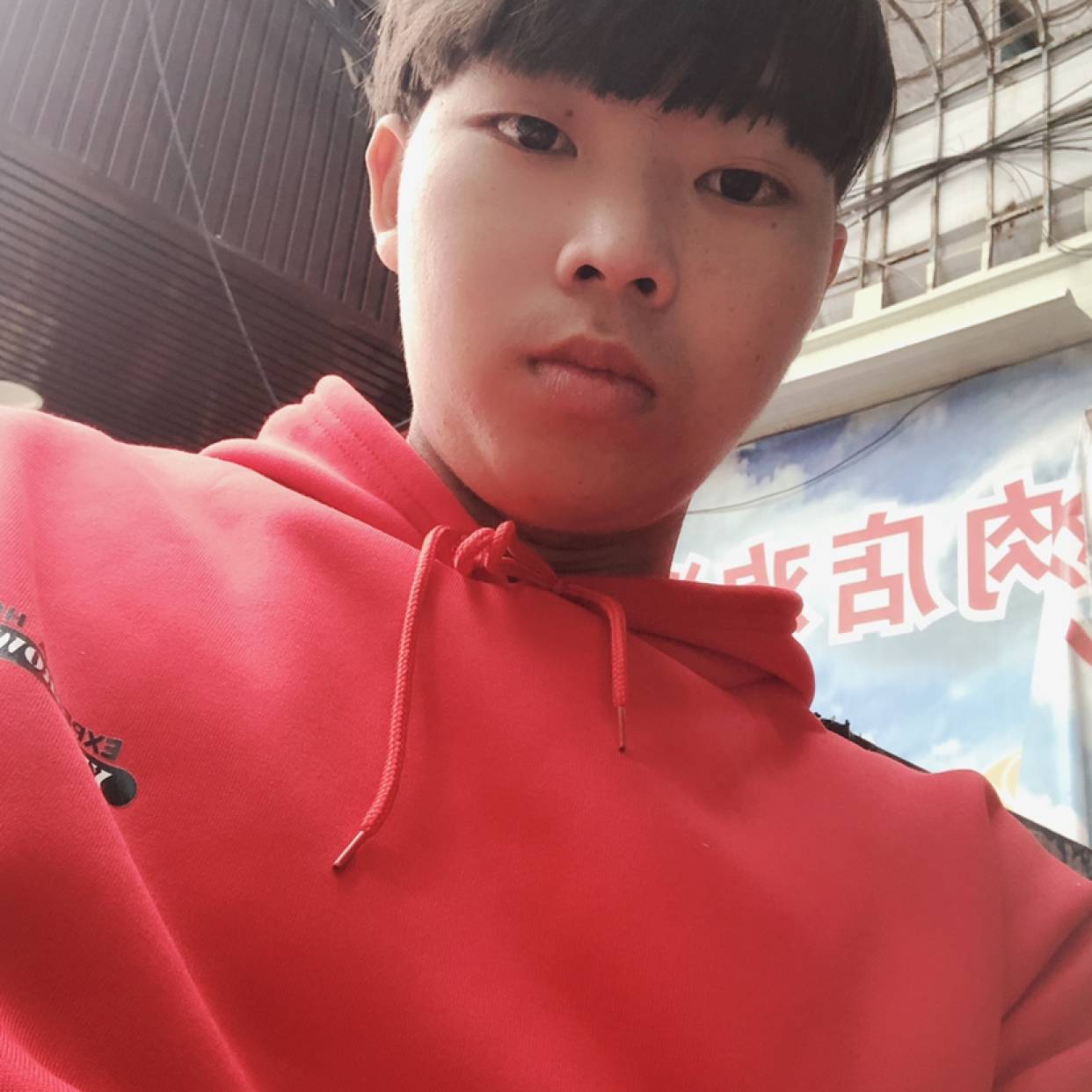 魔幻长颈鹿的照片