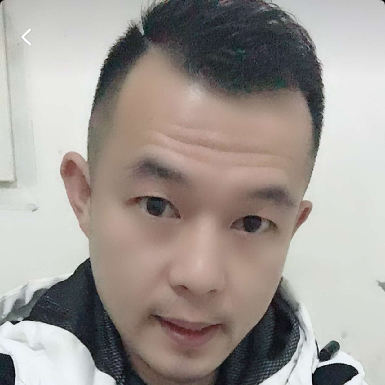 风中的野马的照片