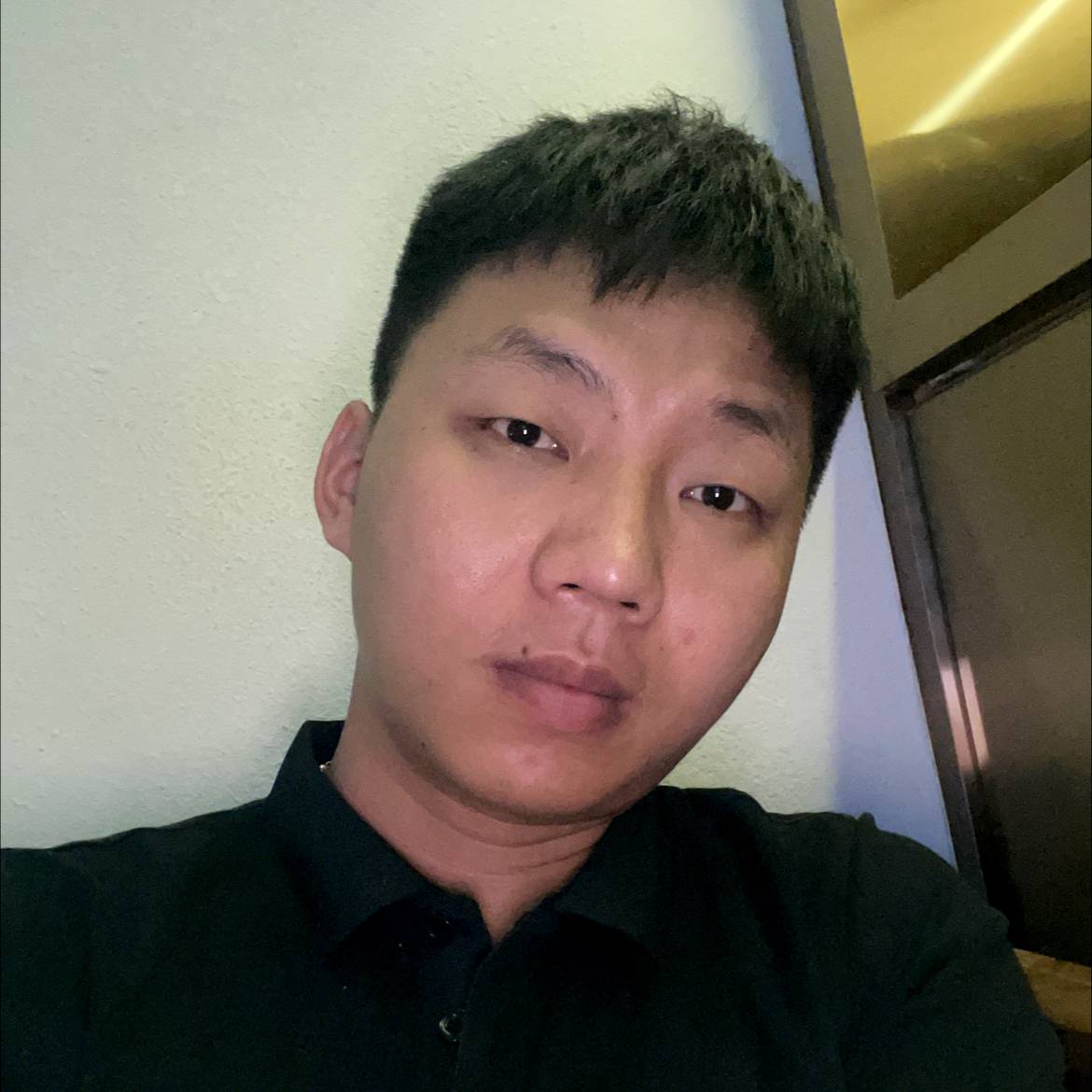 威武的刺猬的照片
