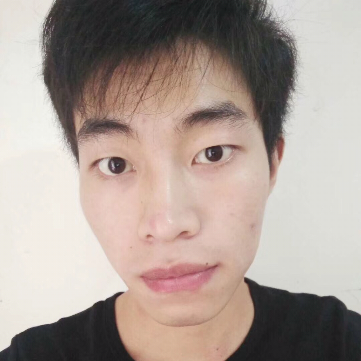 机灵愿碧影的照片