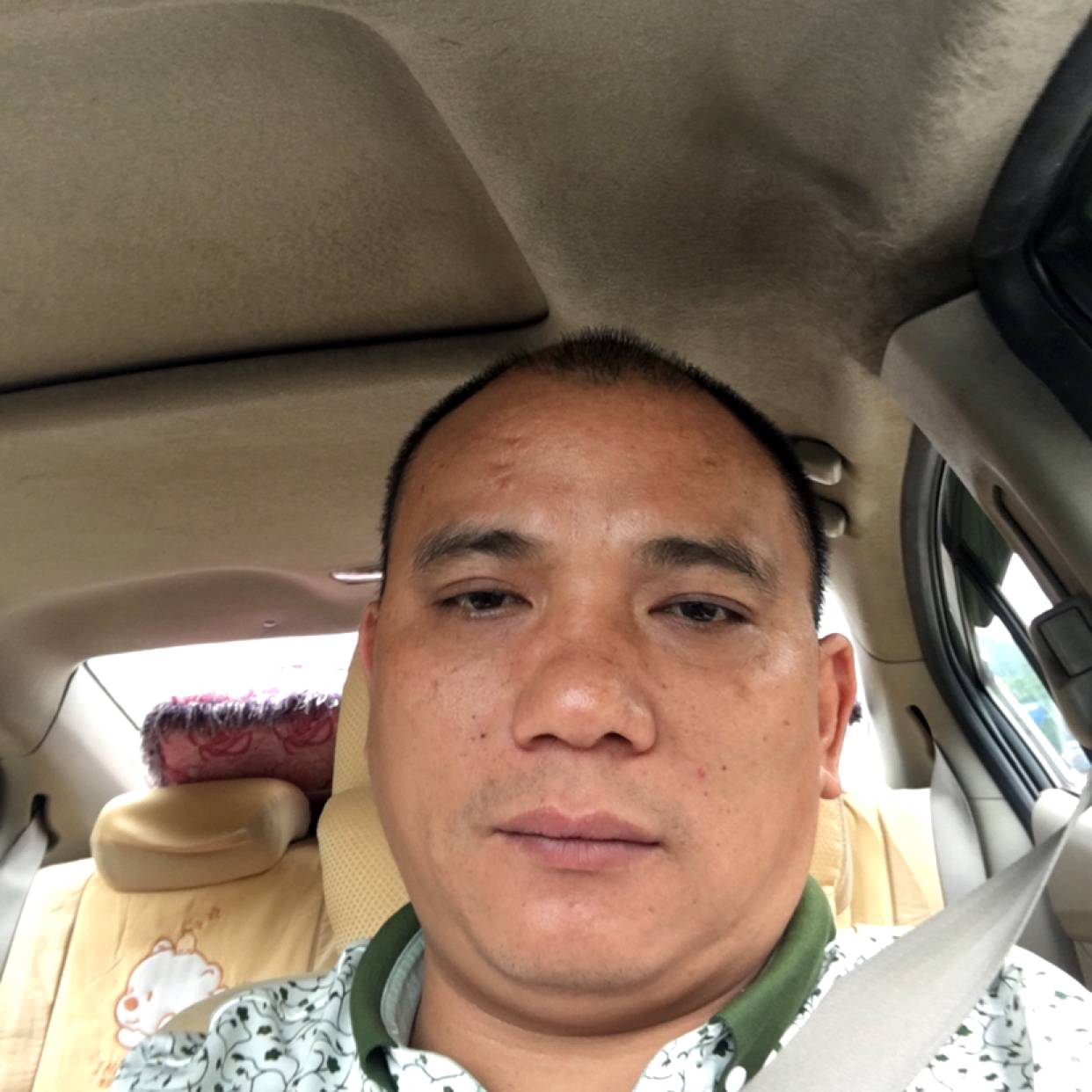 清爽有野狼的照片