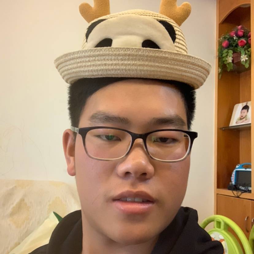 向日葵的唯一的照片