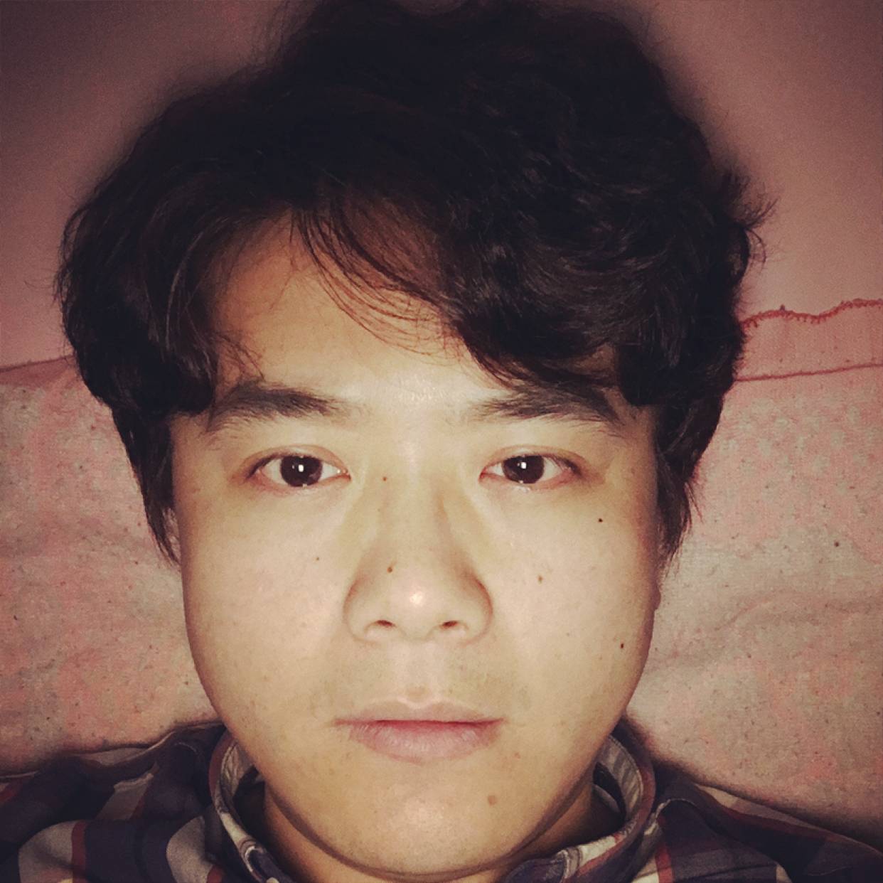 限定火龙果的照片