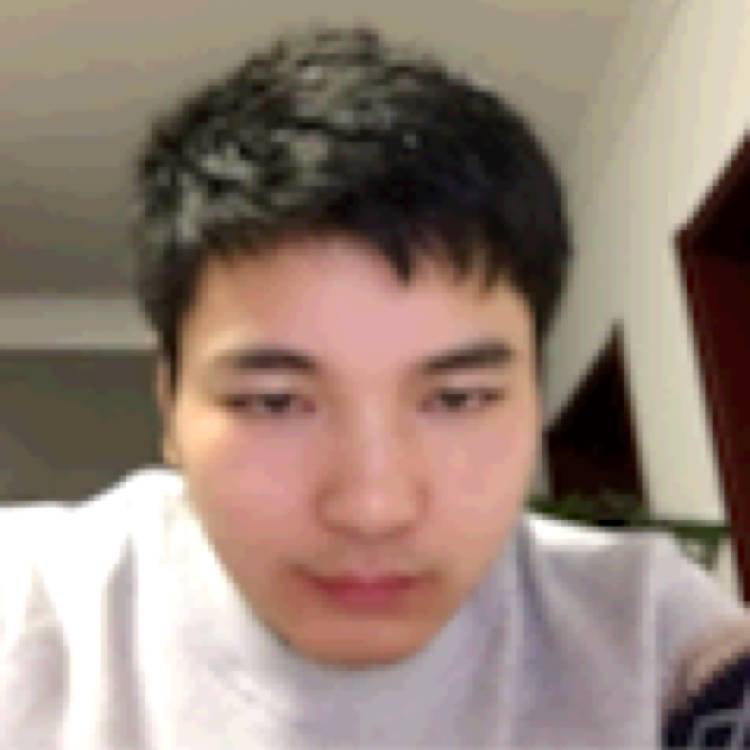 画笔和狂野的照片